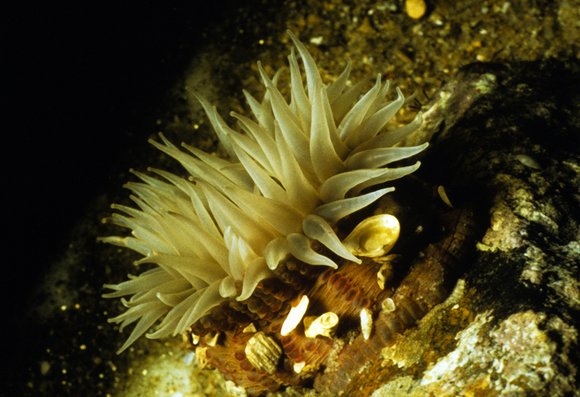 cari_best194_10mod-sm