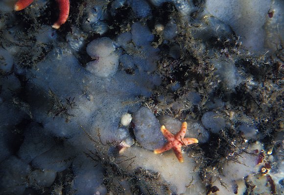 db-2_7.9.81_011mod-sm