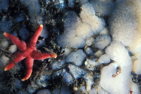 db-2_7.9.81_012mod-sm