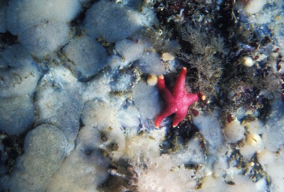 db-2_7.9.81_017mod-sm