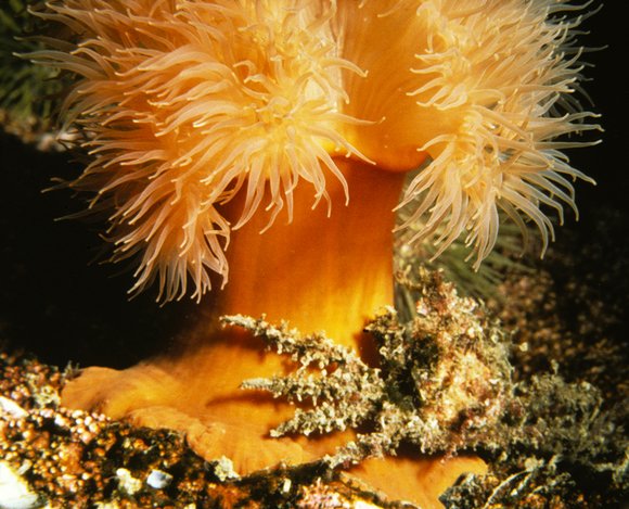 mass_yoral.76_3mod-sm