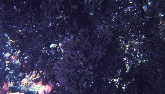 mass_yoral.86_3mod-sm