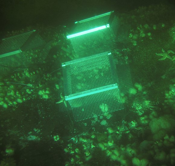 mass_yoral.87_3mod-sm