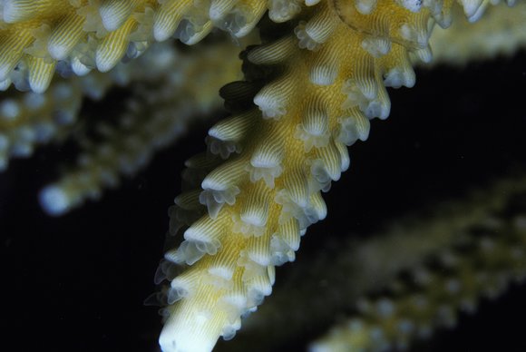 cari_best077_3mod-sm