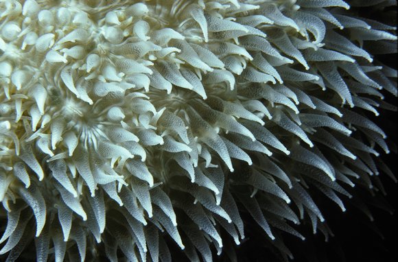 cari_best079_3mod-sm