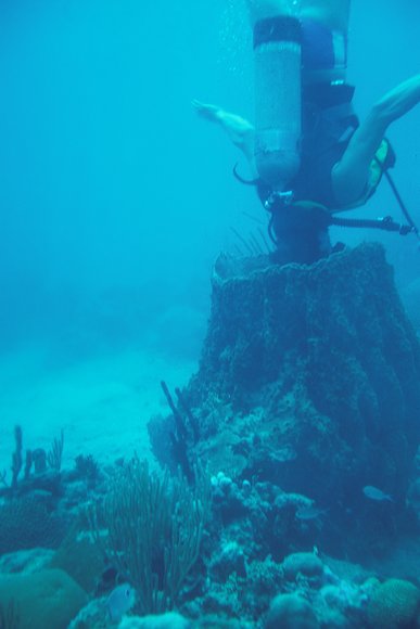 cari_best114_6mod-sm