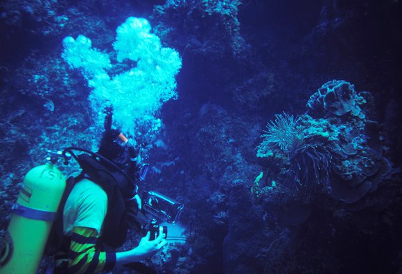 cari_best028_1mod-sm