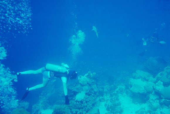 cari_best033_1mod-sm