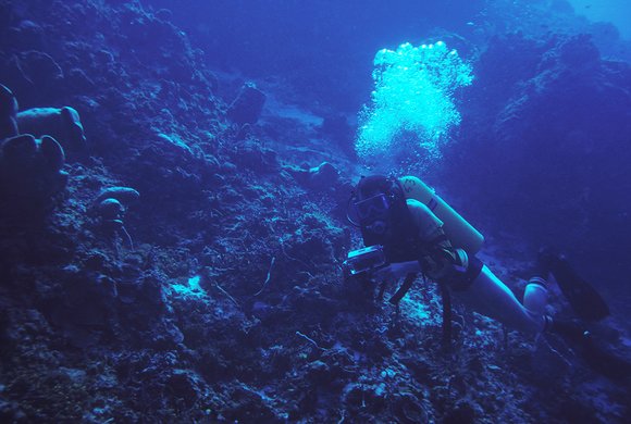 cari_best038_1mod-sm