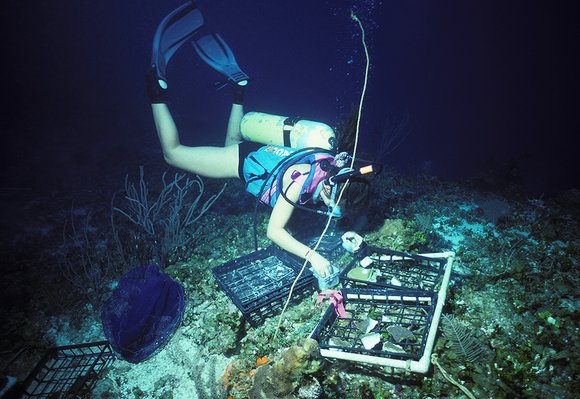 cari_best089_4mod-sm