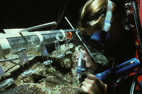 cari_best093_5mod-sm