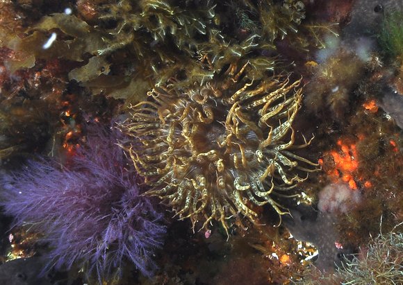 dsc_0189a-copymod-sm