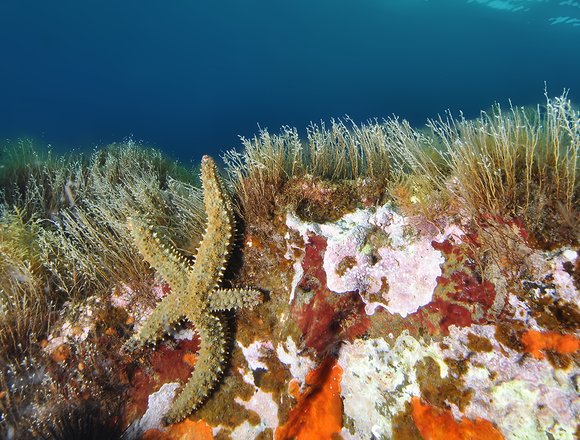 dsc_0304a-copymod-sm