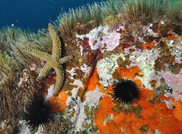 dsc_0306a-copymod-sm