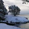 uw-friday-harbor-laboratories-terrestrial-preserves